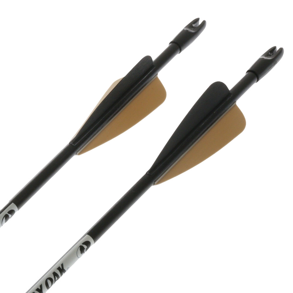 Barnett Tomcat 2 Youth Compound Bow Archery Set Mossy Oak