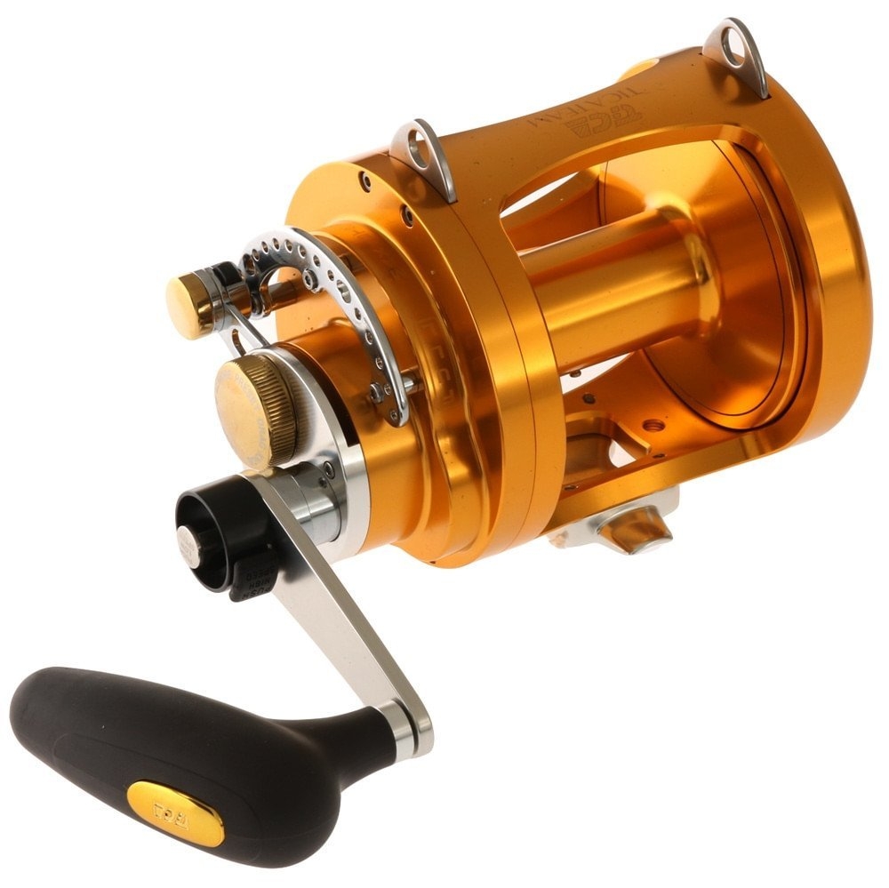 TiCA Gold 50W 2-Speed Shimano Status Blue Water Game Combo 5ft 6in 1pc