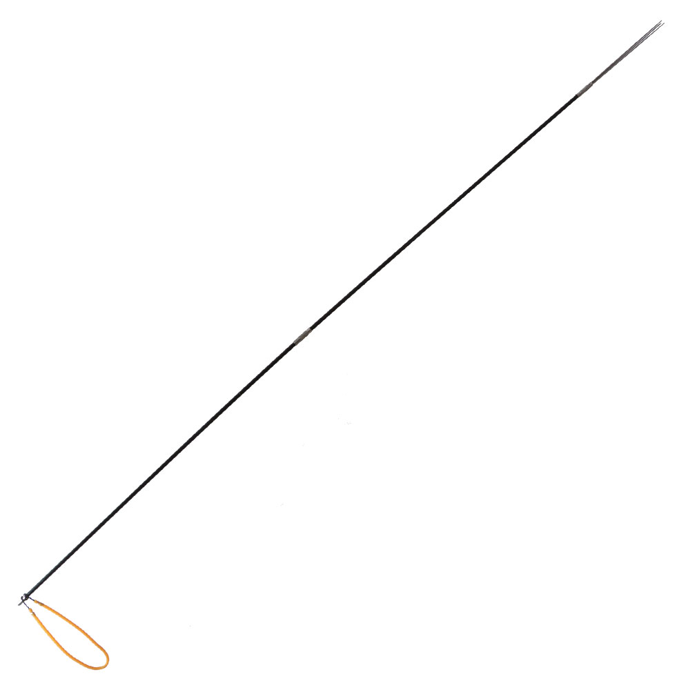 Atlantis Vertex PS2 Pole Spear