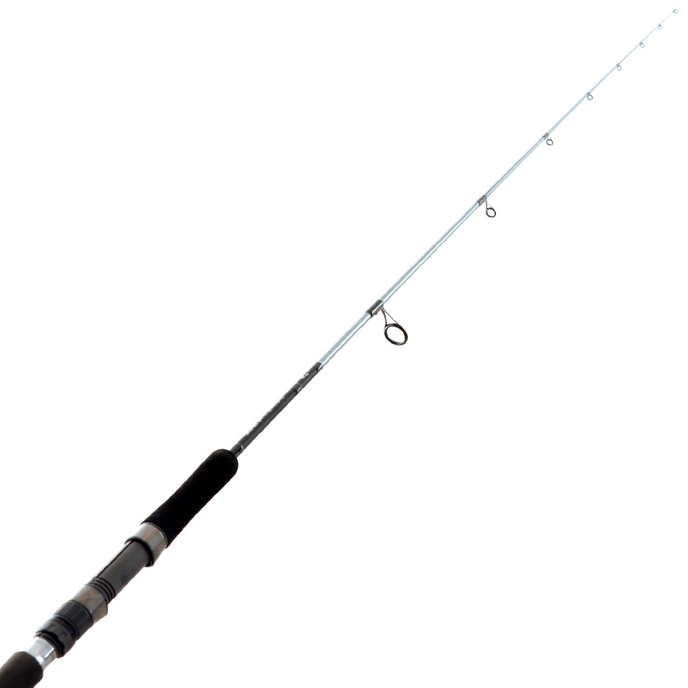 Daiwa 20 TD Saltwater SJ66-2.5 Spinning Slow Jig Rod 6ft 6in 90-180g 1pc