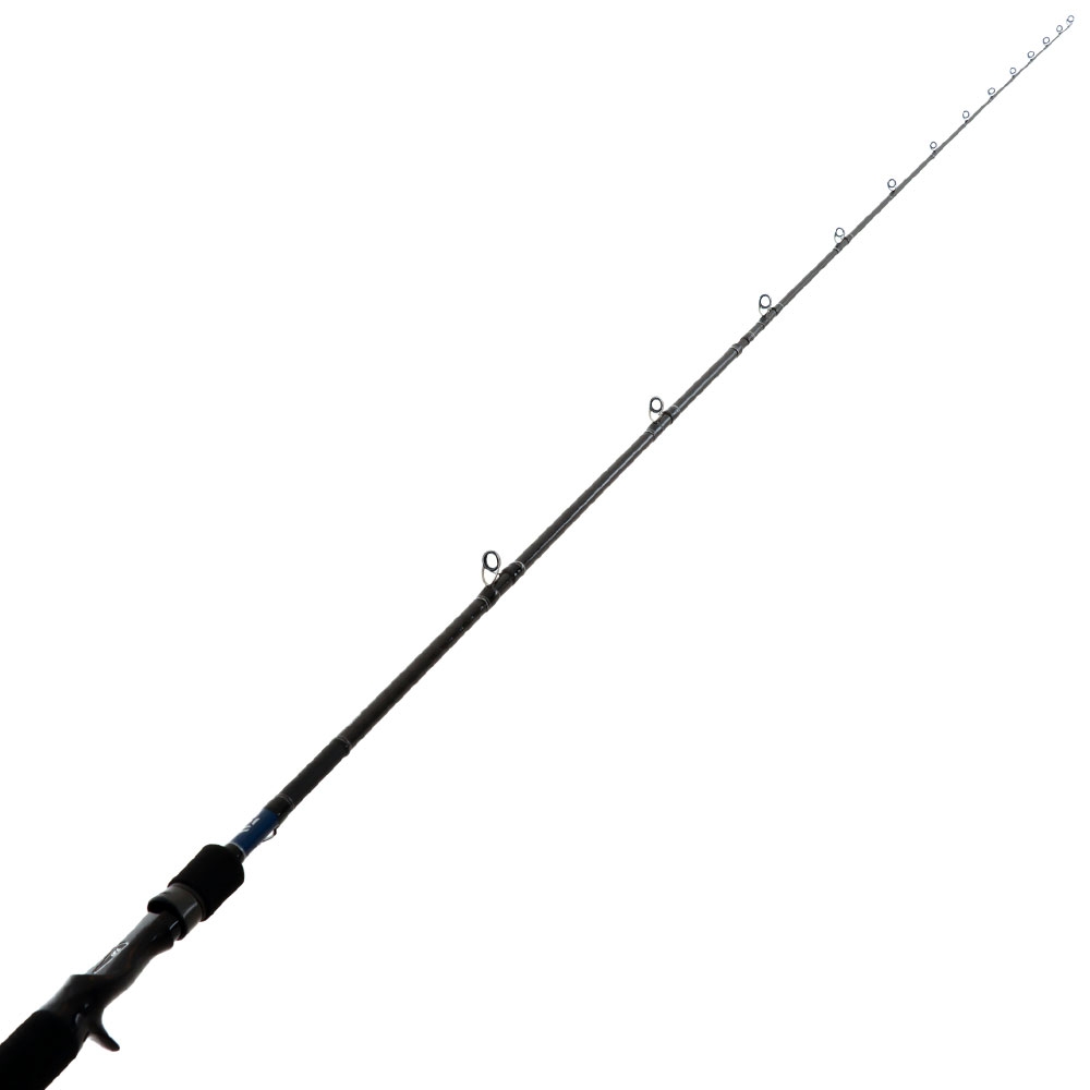 Daiwa 21 TD Tierra Overhead Soft Bait Rod 7ft 6in 5-9kg 2pc