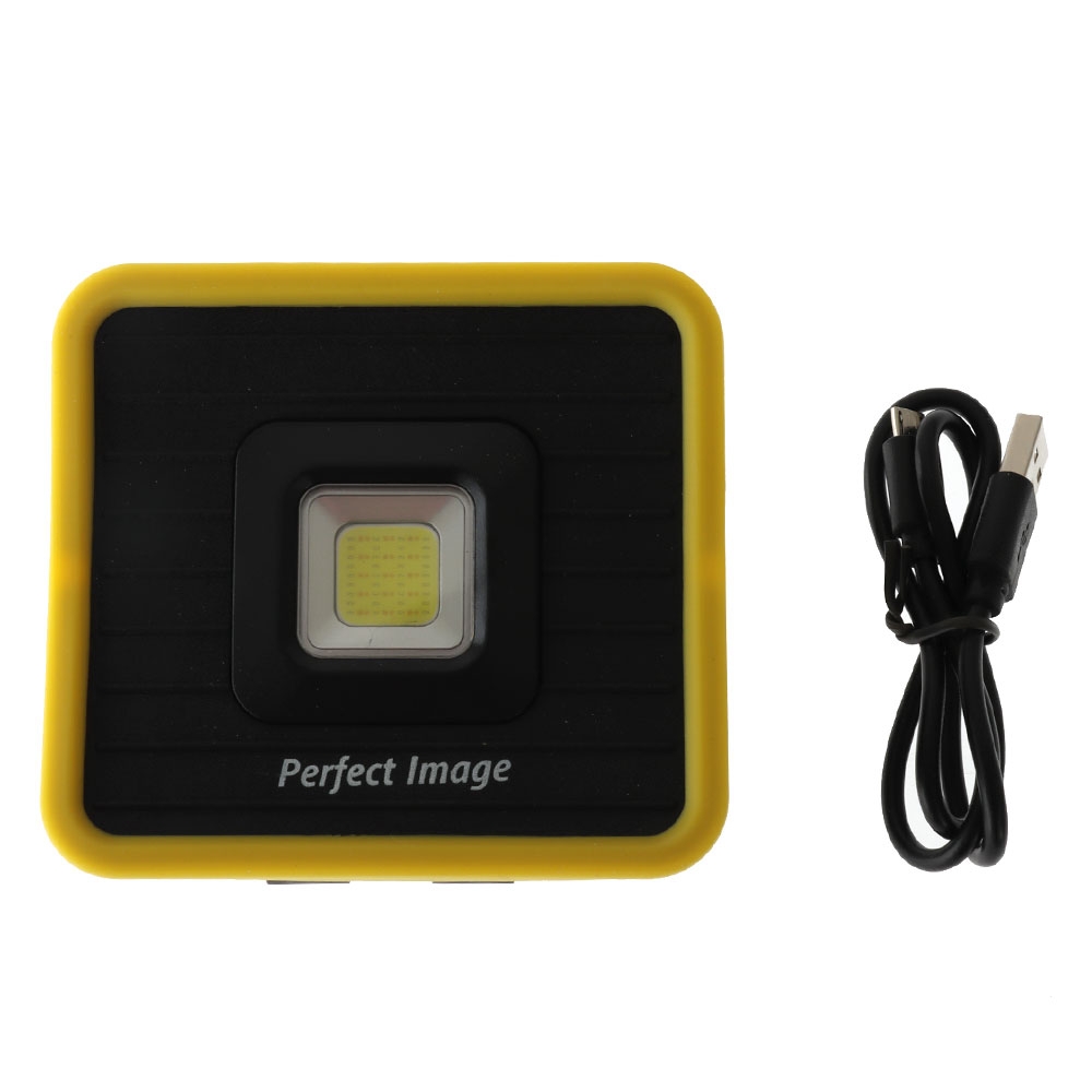 Perfect Image Rechargeable Compact LED Work Light with Power Bank 10W 1000lm