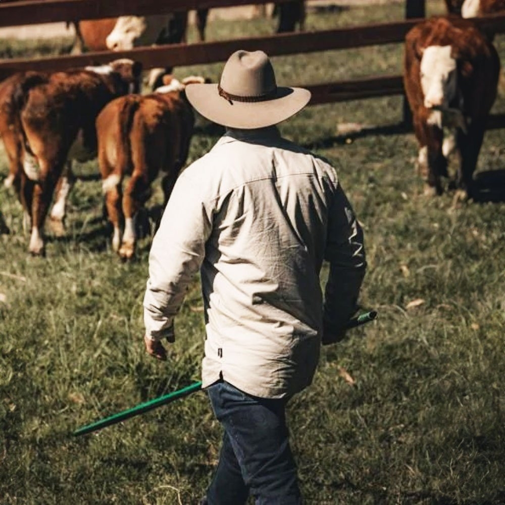 Ridgeline Yard Placket Mens Long Sleeve Shirt Eucalyptus XL