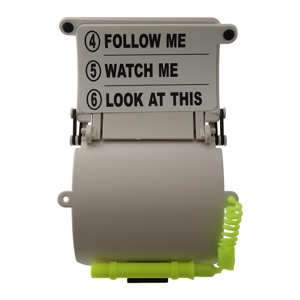 Atlantis Dive Slate Wrist