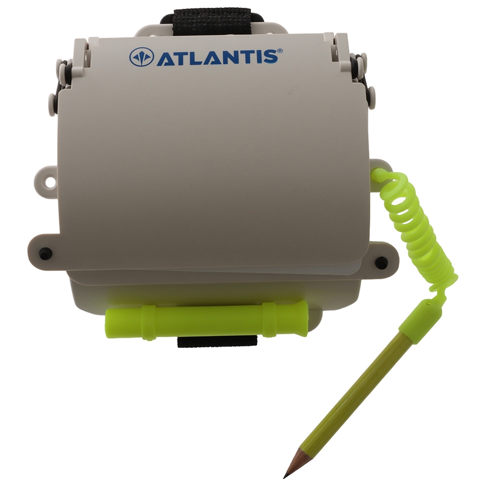 Atlantis Dive Slate Wrist