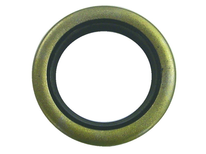 Sierra 18-0543 Marine Oil Seal