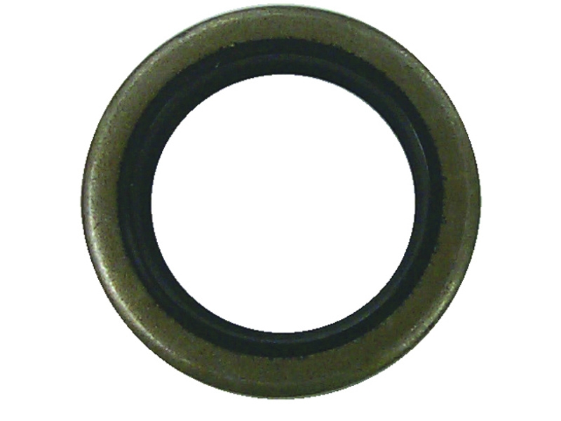 Sierra 18-2002 Oil Seal