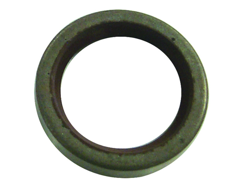 Sierra 18-8351 Marine Oil Seal for Johnson/Evinrude Outboard Motor