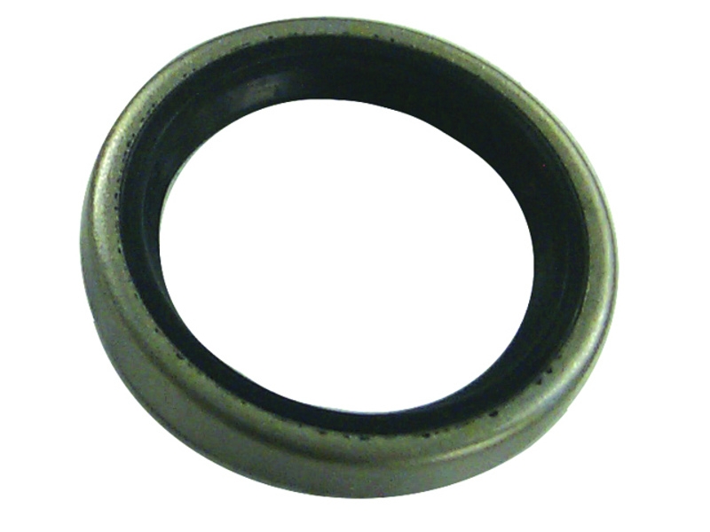 Sierra 18-8367 Marine Oil Seal for Johnson/Evinrude Outboard Motor