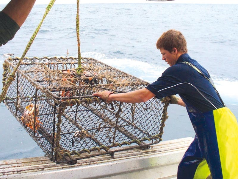 Bridon SuperDan Southern Cray Rope Medium/Hard Lay Finish 220m