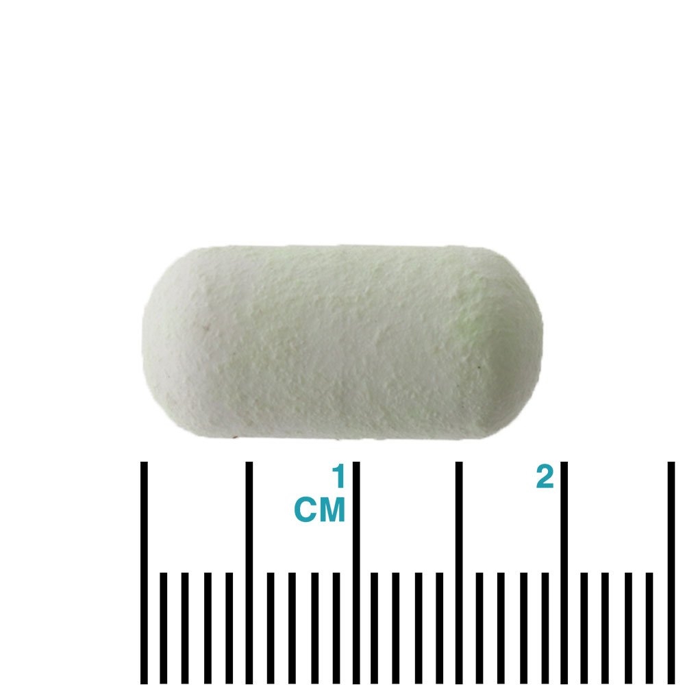 Wild Blue Tackle Bait Rig Float