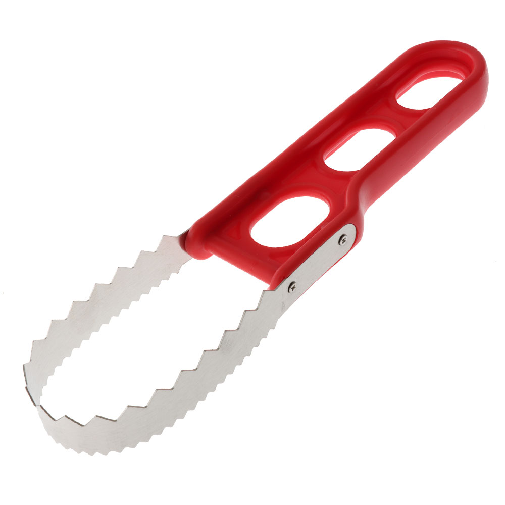 Berkley Essentials Fish Scaler