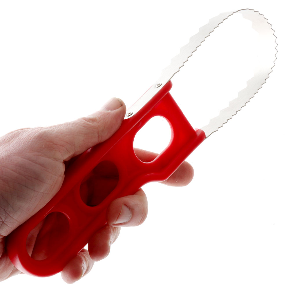 Berkley Essentials Fish Scaler