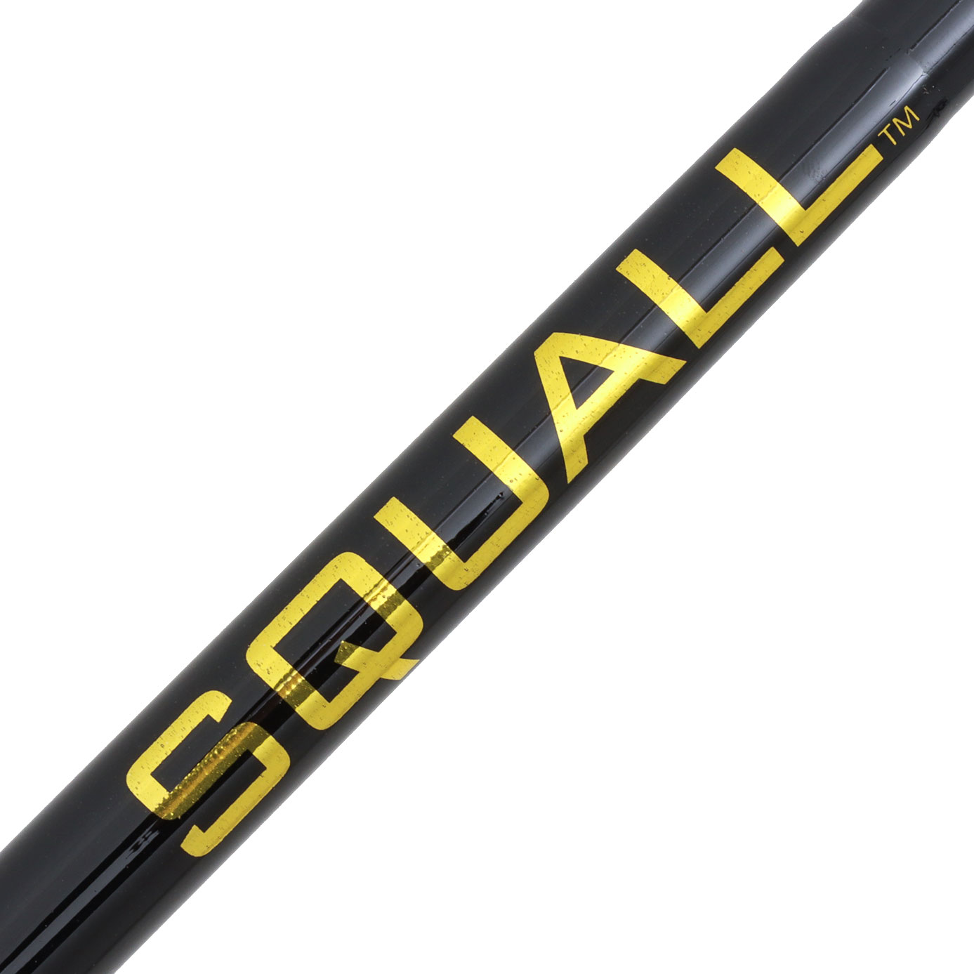 PENN Squall II 20 Level Wind Overhead Combo 6ft 6in 6-10kg 1pc