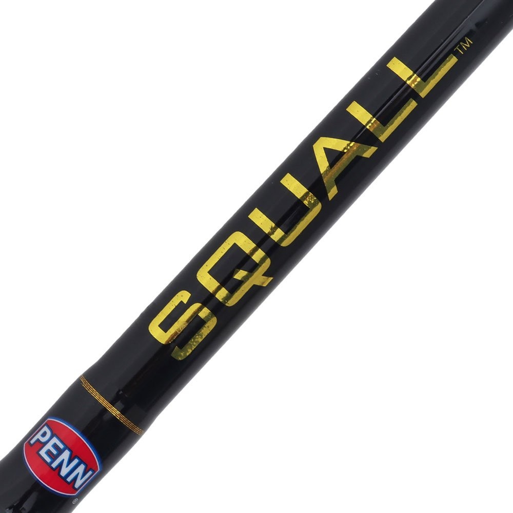 PENN Squall II 30 Level Wind Heavy Duty Overhead Combo 6ft 6in 10-15kg 1pc