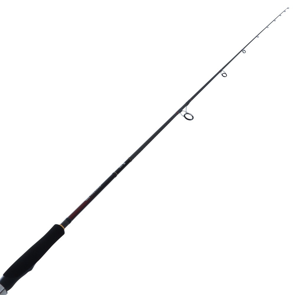 Shimano Engetsu BB Medium Spinning Rod 6ft 10in 20-100g 2pc