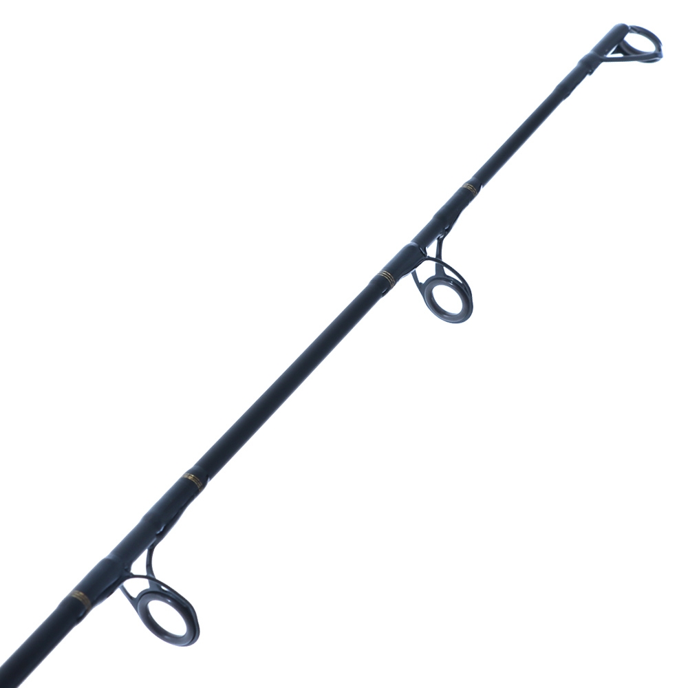 Daiwa 21 BG Bluewater Boat Spin Rod 5ft 6in PE3-5 90-180g 1pc