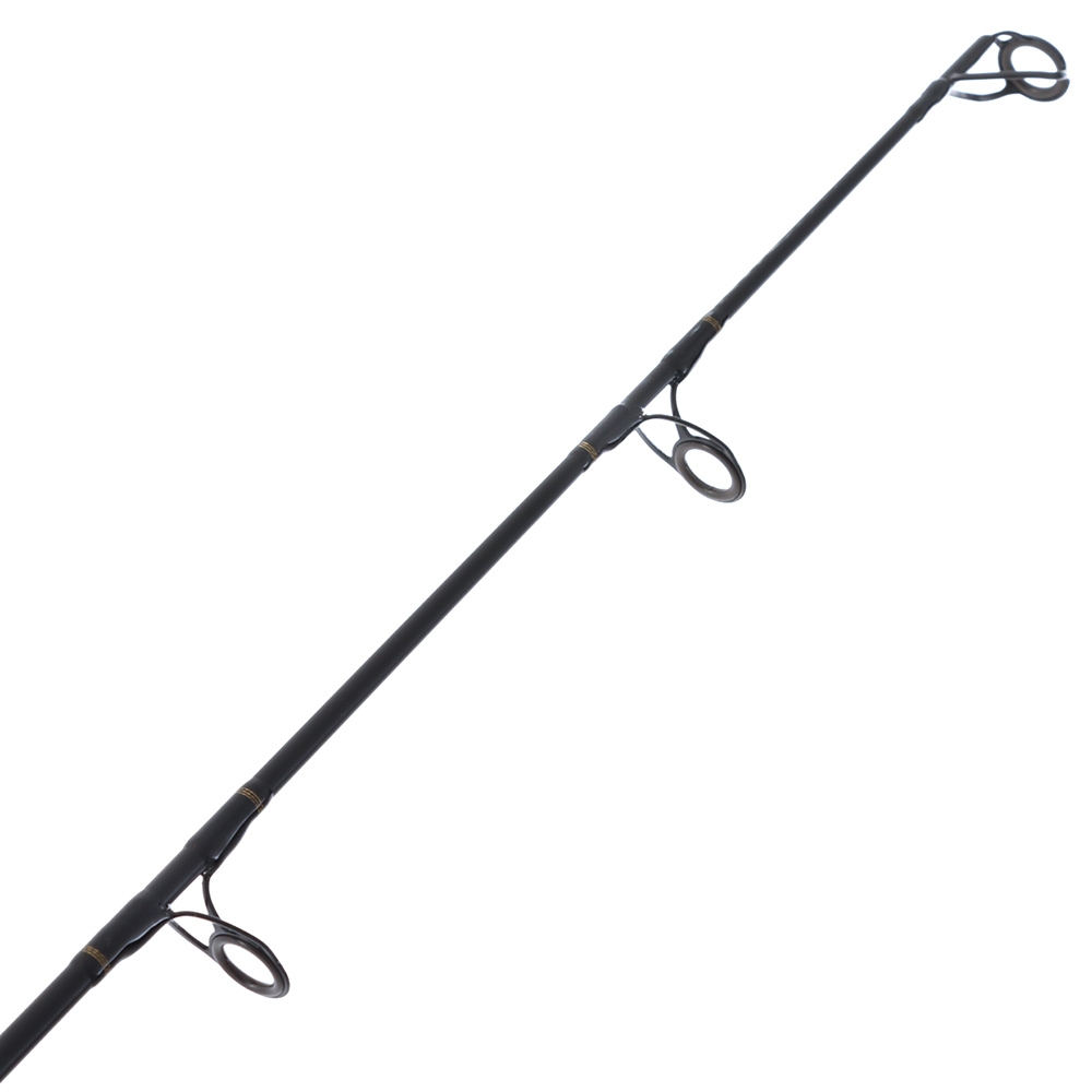 Daiwa BG 6500 Bluewater Stickbait Topwater Spin Combo with Braid 8ft PE6-8 150-300g 2pc