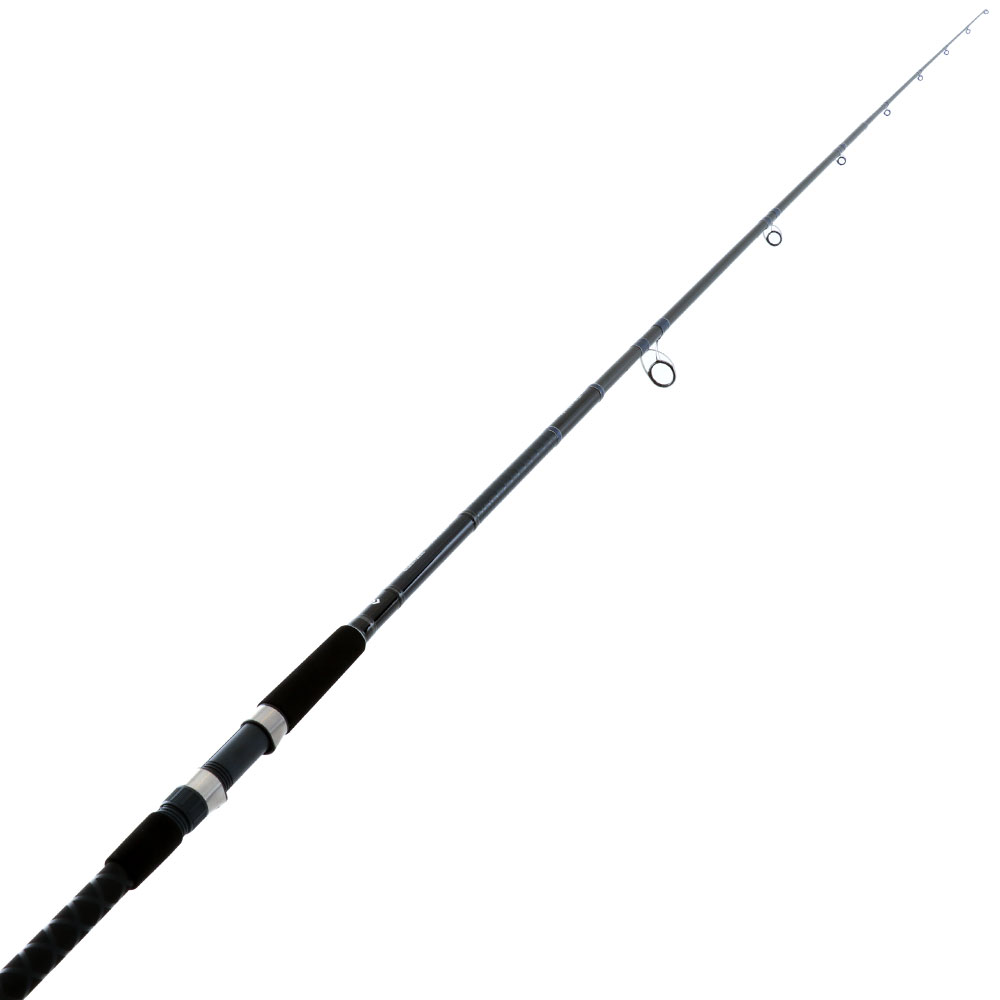 Daiwa 21 Sensor Wave 1303HFS-NZ Surfcasting Rod 13ft 8-15kg 3pc
