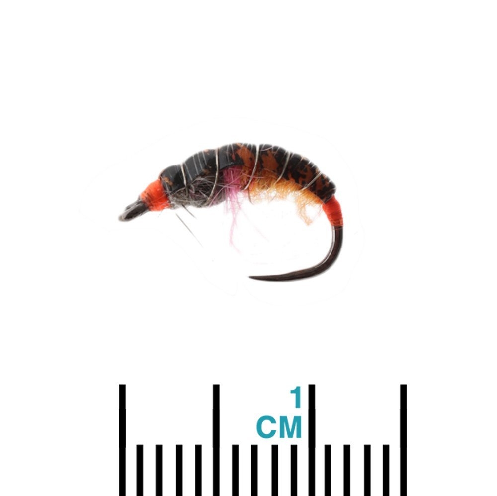 Manic Tackle Project Euro Trash Nymph