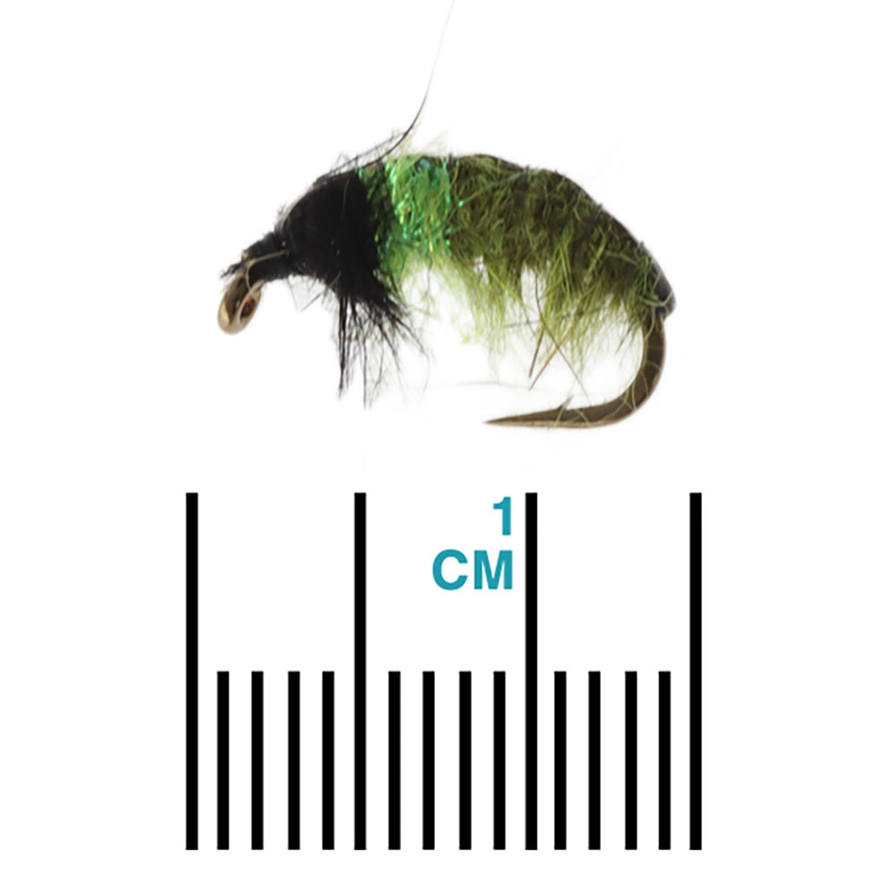 Manic Tackle Project Hot Spot Czech Caddis Nymph Fly Olive #12 1.2cm