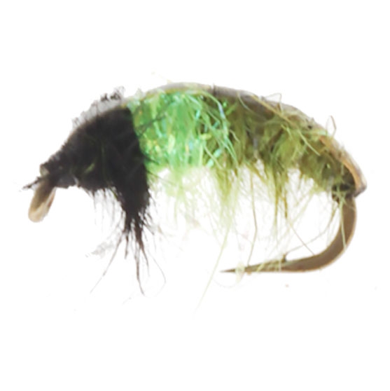 Manic Tackle Project Hot Spot Czech Caddis Nymph Fly Olive #14 1cm