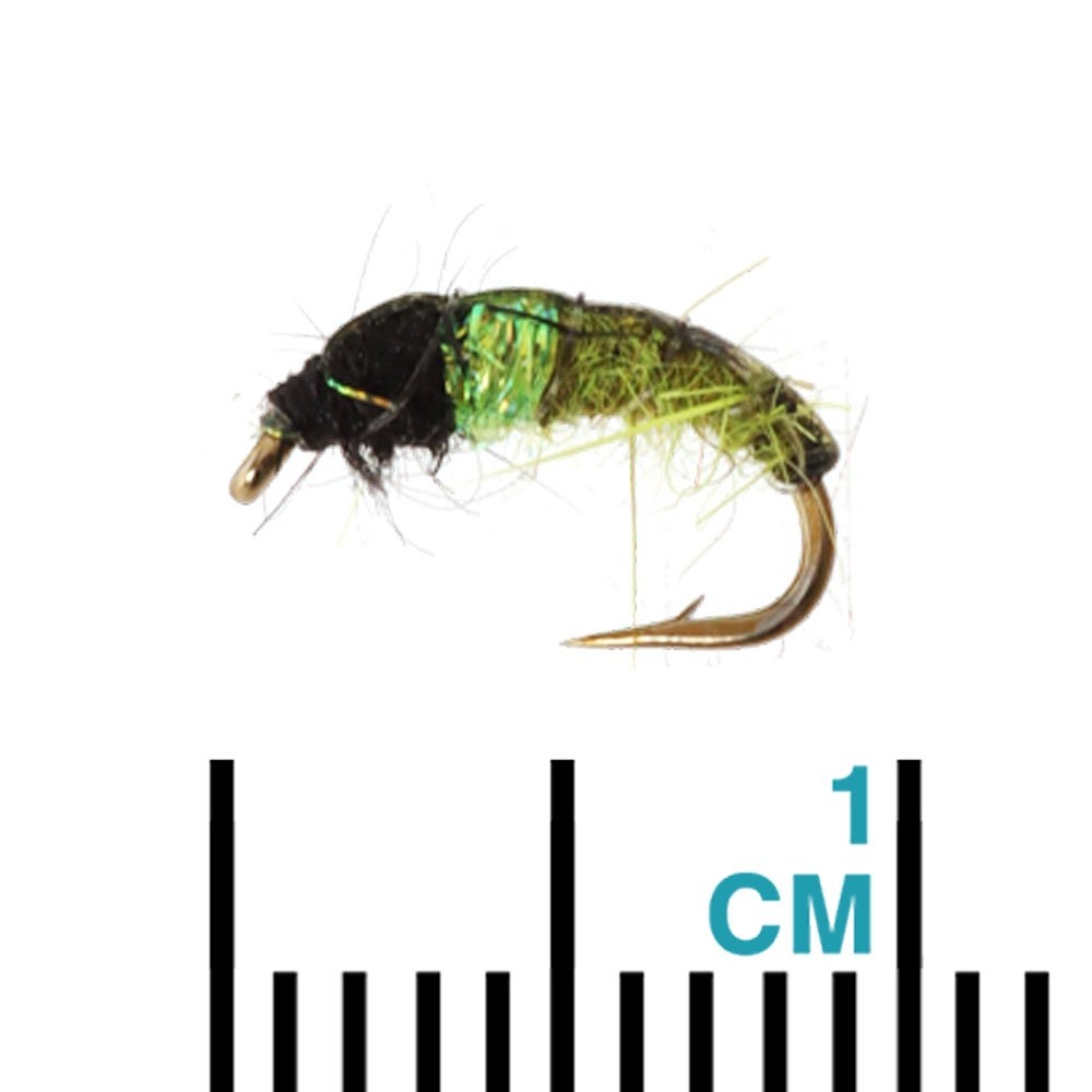 Manic Tackle Project Hot Spot Czech Caddis Nymph Fly Olive #16