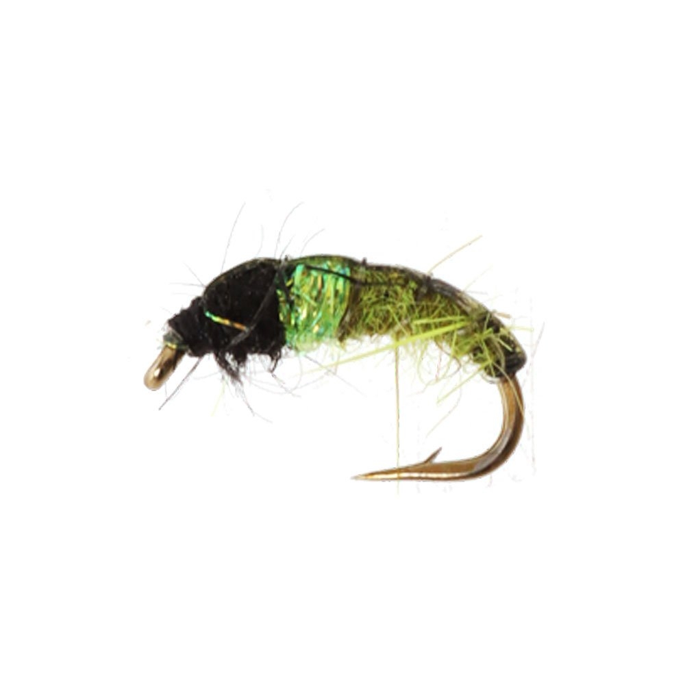 Manic Tackle Project Hot Spot Czech Caddis Nymph Fly Olive #16