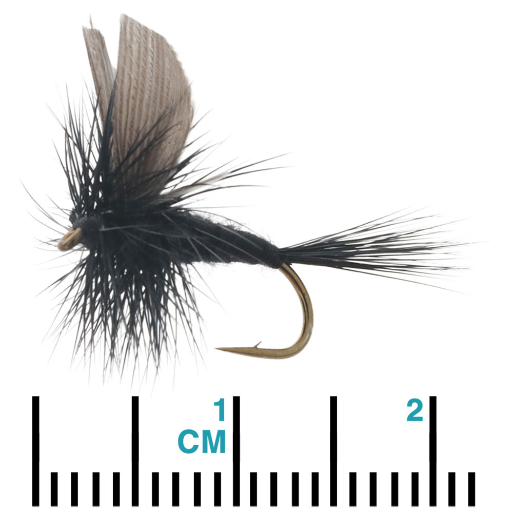Manic Tackle Project Black Gnat Dry Fly #12