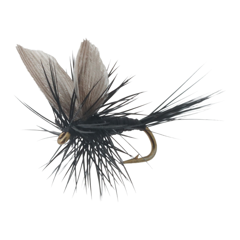 Manic Tackle Project Black Gnat Dry Fly #18