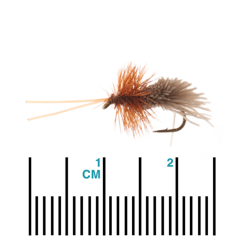 Manic Tackle Project Goddards Caddis Dry Fly #14 2.3cm