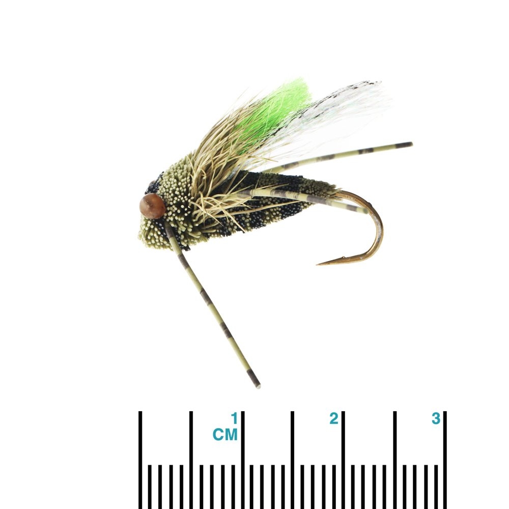 Manic Tackle Project King Cicada Dry Fly #6 2.5cm