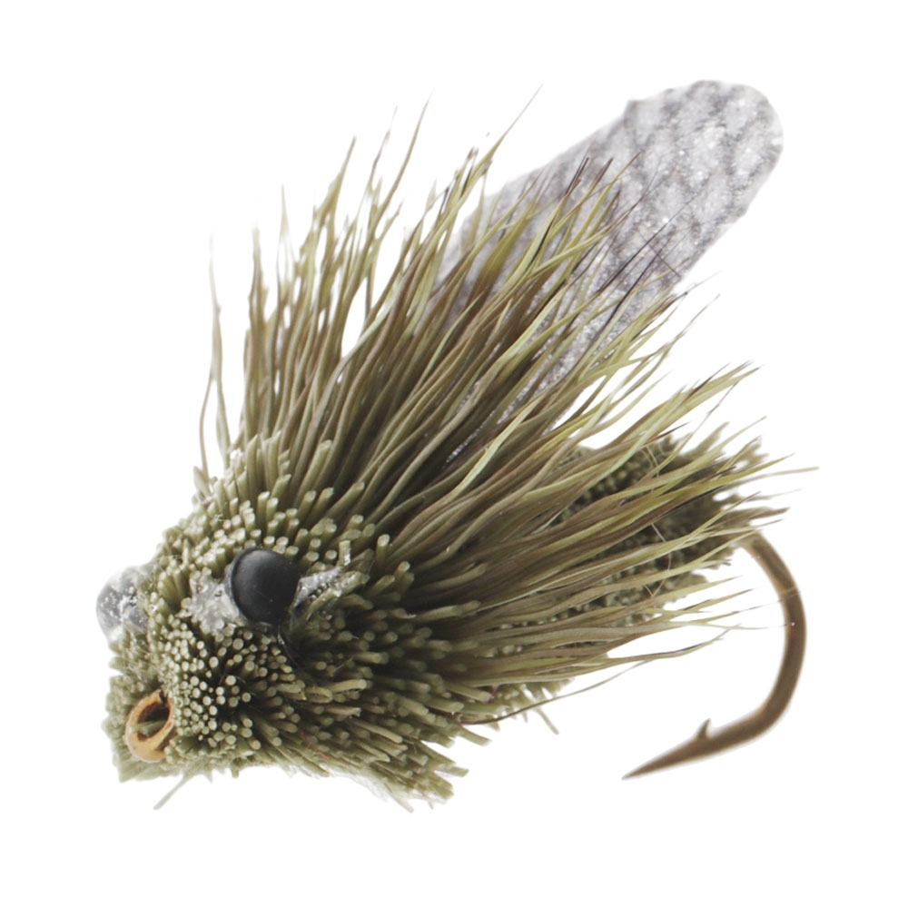 Manic Tackle Project Classic Cicada Dry Fly Olive #6 2.5cm