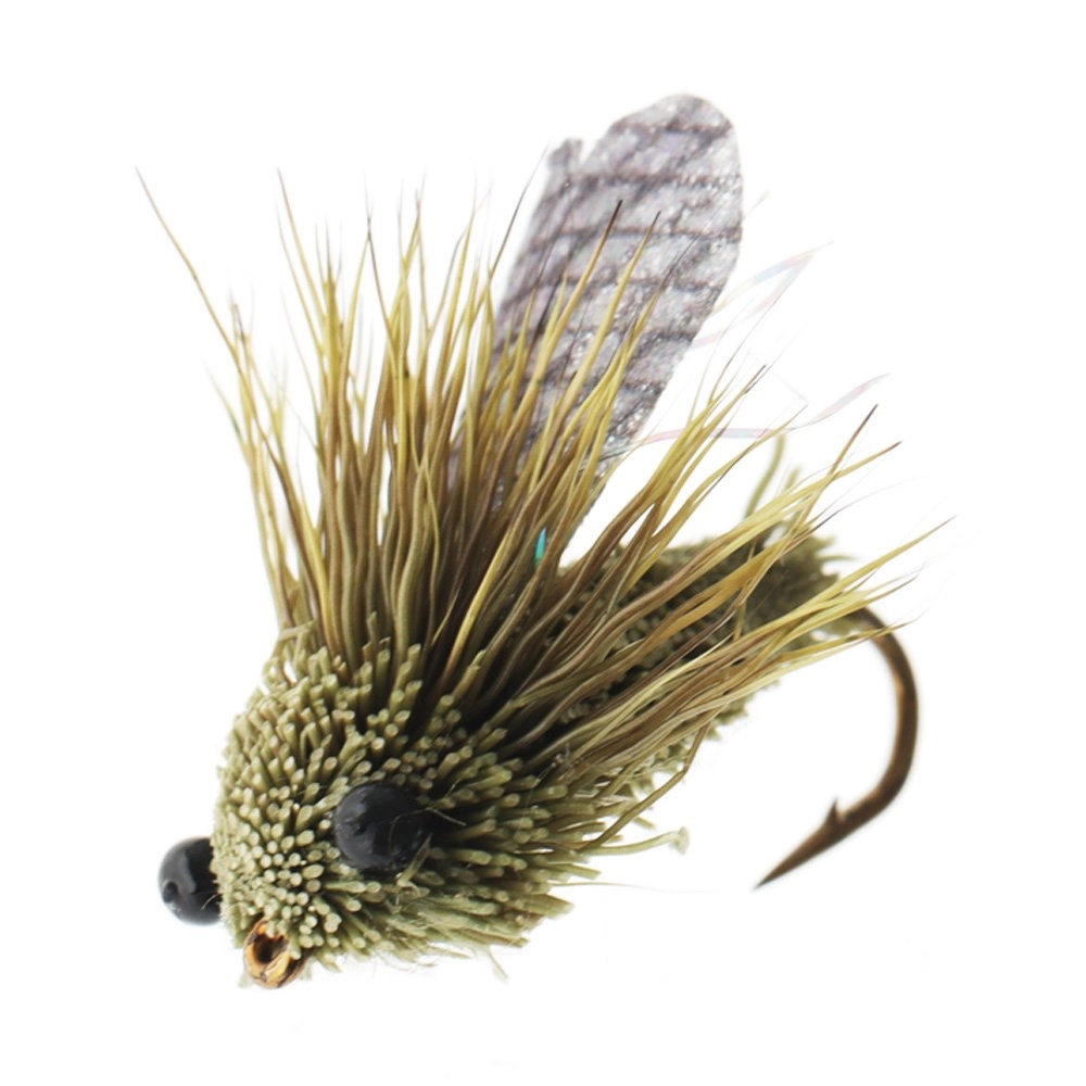 Manic Tackle Project Classic Cicada Dry Fly Olive #8 2cm Manic Tackle Project Classic Cicada Dry Fly Olive #8 2cm