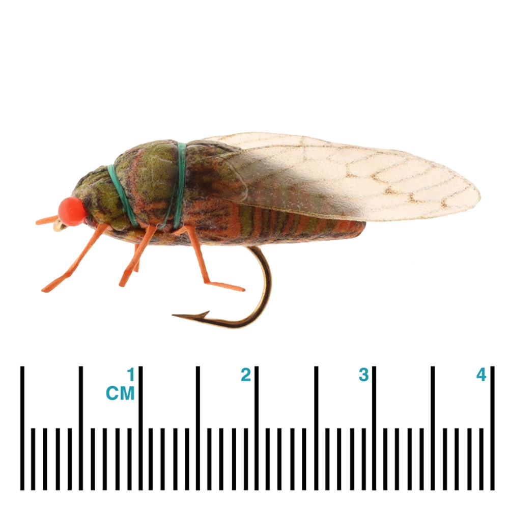 Manic Tackle Project True Cicada Dry Fly #6