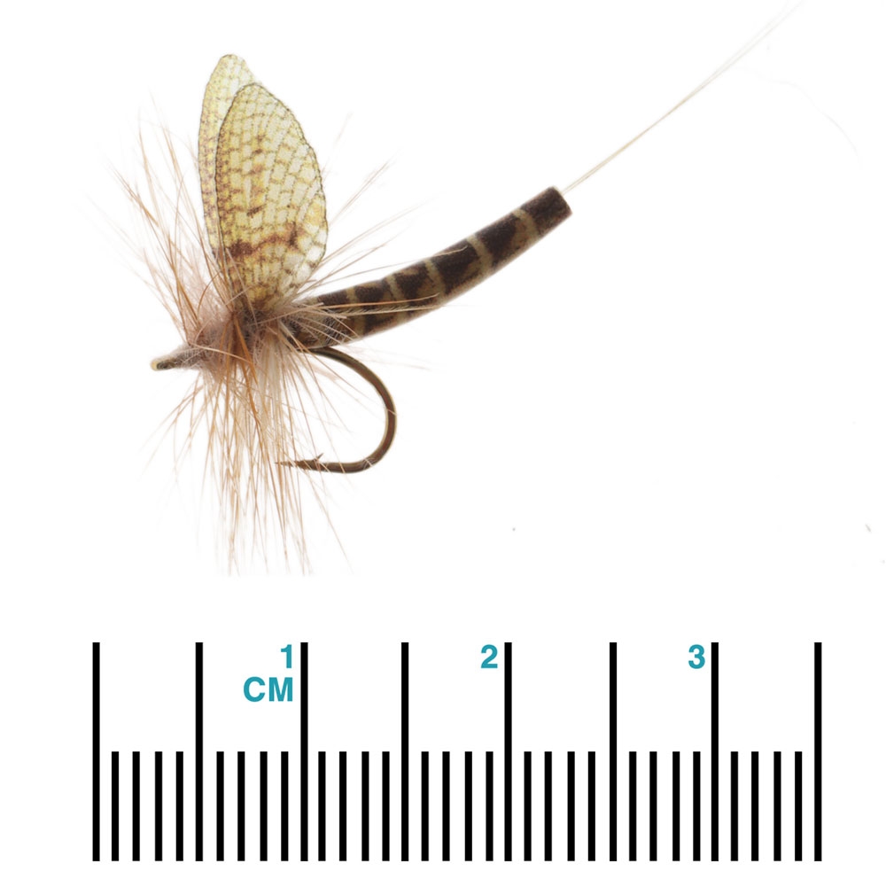 Manic Tackle Project True Vulgata Mayfly Dry Fly #12