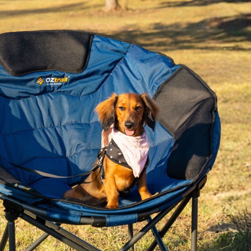 OZtrail Jumbo Moon Chair