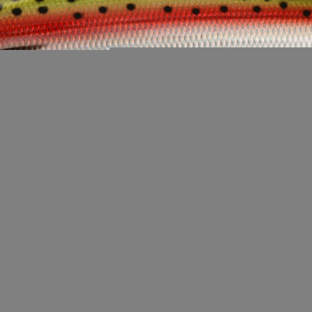 Strike Pro Magic Minnow Lure 9cm 9.8g Rainbow