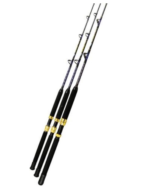 Fishtech Game Rod with Roller Tip 15kg