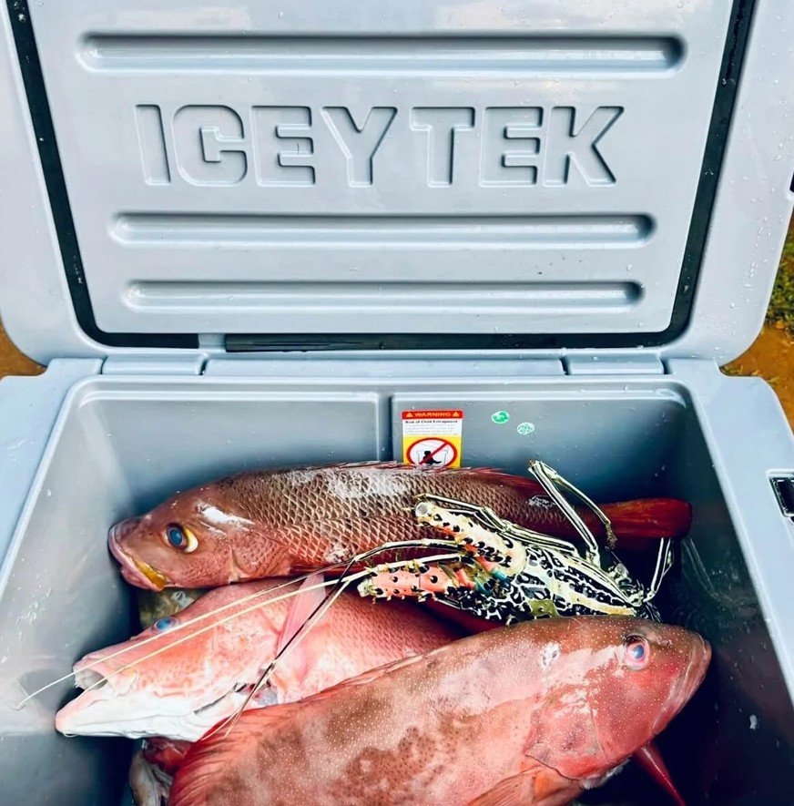 Icey-Tek Pro Series Chilly Bin Cooler 50L Grey