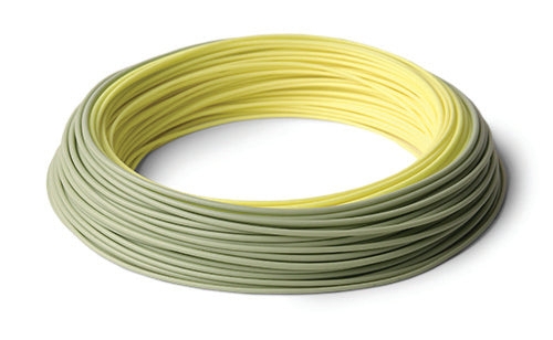 RIO InTouch Salmo/Steelhead Fly Line WF8F