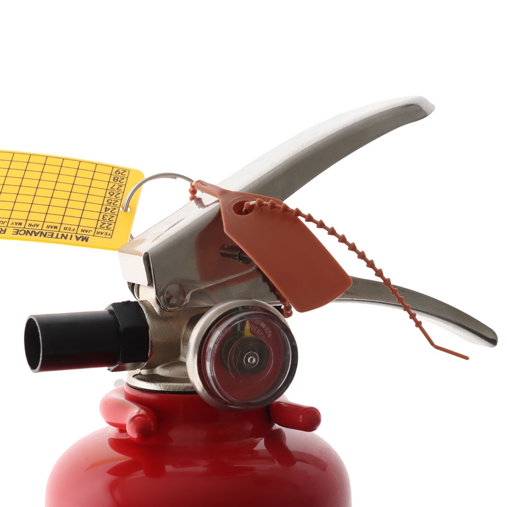 Flamefighter ABE Dry Powder Type Fire Extinguisher 1kg 1A:20B:E