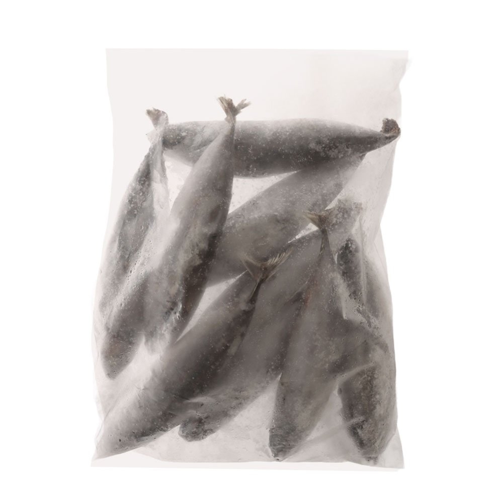 Salty Dog Bullet Tuna Frozen 2kg