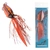 Shimano Lucanus Slow Jig 150g UV Coastal Crab