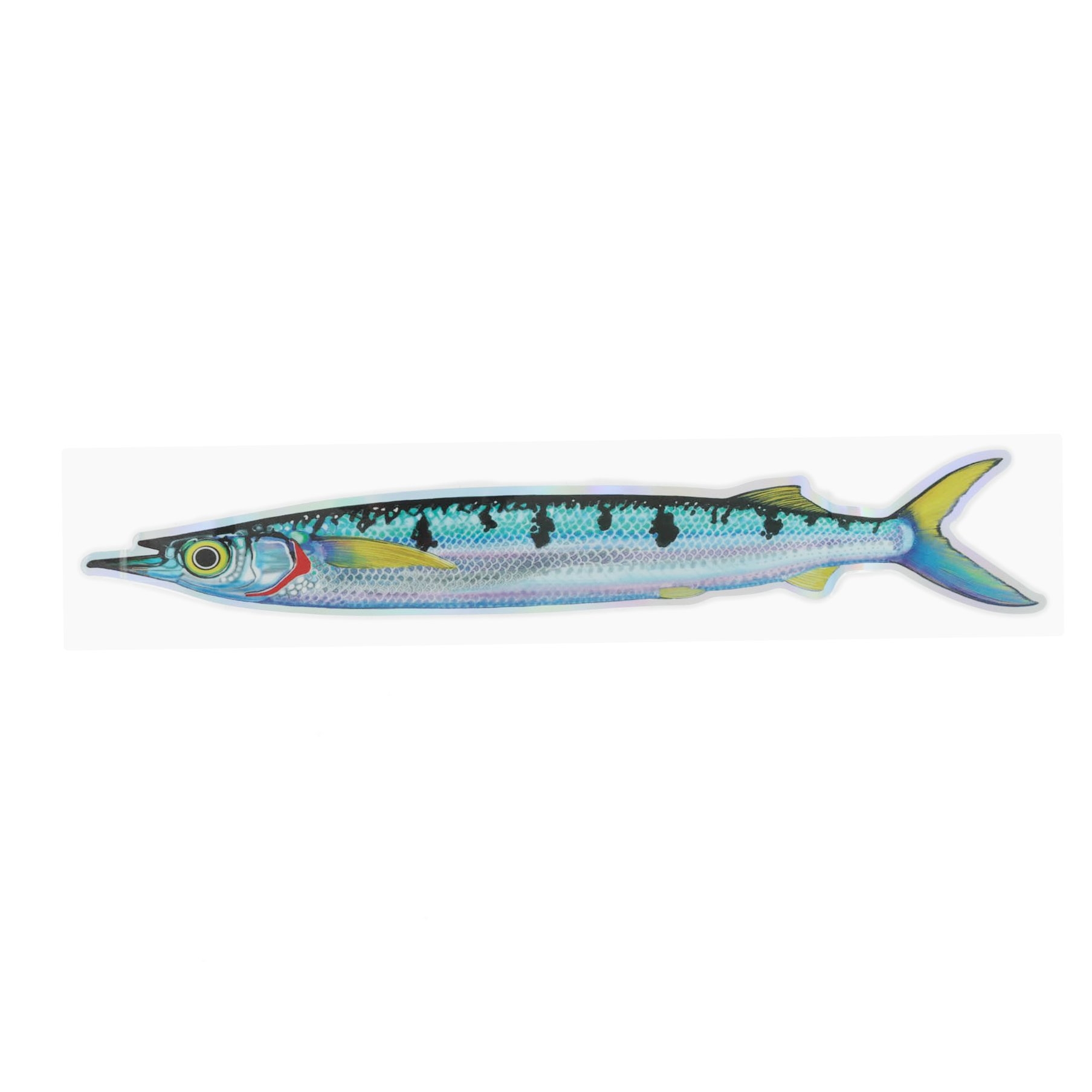 Pakula Single Flash Strip with Snap Garfish