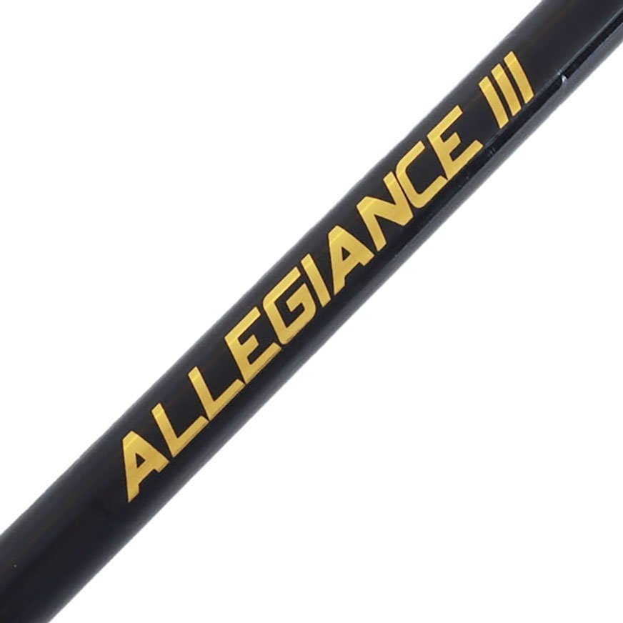 Shimano Alivio 10000FA Allegiance Strayline Boat Combo 7ft 12kg 2pc