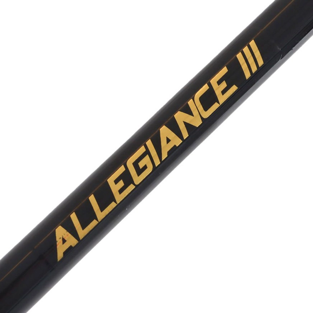 PENN Squall II 30 Allegiance III 702H Strayline Combo 7ft 10-15kg 2pc PENN Squall II 30 Allegiance III 702H Strayline Combo 7ft 10-15kg 2pc