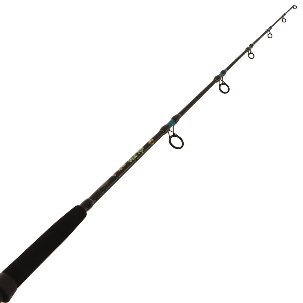 PENN Squall 40 Lever Drag Ugly Stik Black Tiger Boat / Jig Combo 5ft 6in 50-80lb 1pc