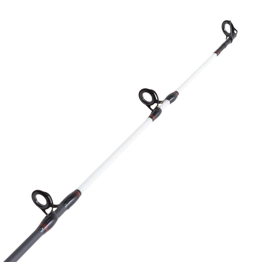 Shimano Charter Special TR2000 Spectrum Plus Lever Drag Boat Combo 6ft 8-12kg 1pc