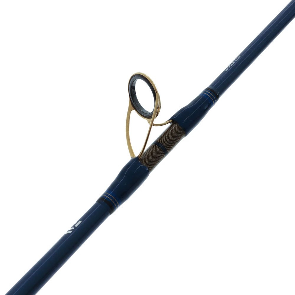 Daiwa Saltiga 20H Seapower Jigging Combo with Braid and Lure 6ft 3in 50lb 2pc